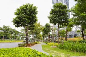 Đường dạo bộ cho cư dân The Zen Residence