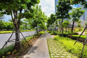 duong-dao-bo-cho-cu-dan-chung-cu-gamuda