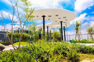 Vườn thượng yển the zen gamuda