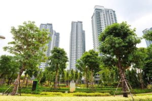 Chung cư Xanh the zen residence