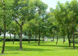 Công Viên Yên Sở