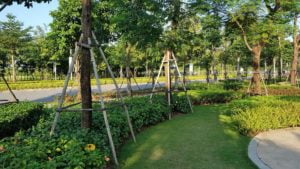 Không gian xanh The ZEN Residence