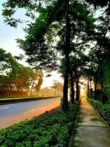 Không gian xanh trong Gamuda Garden