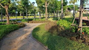 Khuôn viên xanh tại The Zen Residence