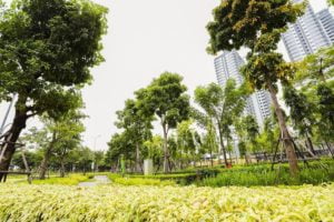 Sống Xanh tại chung cư The ZEN Residence