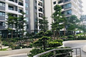 Bán căn hộ sân vườn tầng 5 chung cư the zen