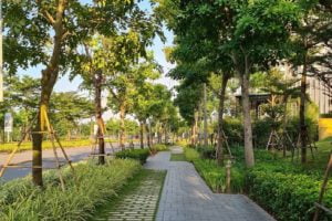 Đường dạo bộ cho cư dân The Zen Gamuda