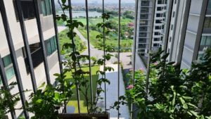 View từ căn 01 tòa A Chung cư The Zen